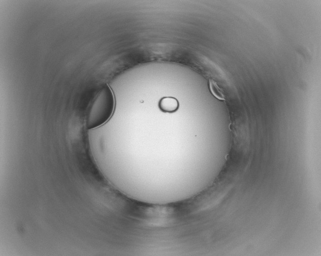 X0000115670225200911251737