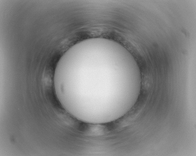 X0000115670226200911251737