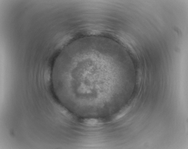 X0000115670230200911251737