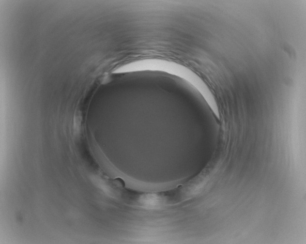 X0000115670231200911251737