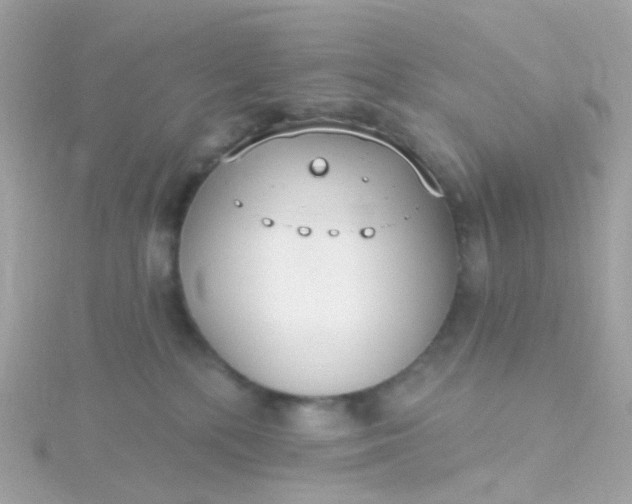 X0000115670232200911251737