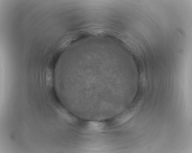 X0000115670234200911251737