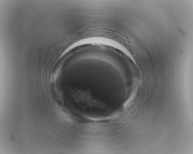 X0000115670235200911251737