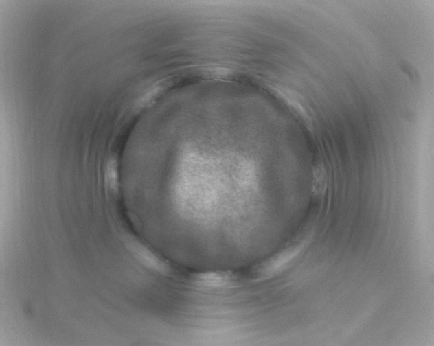 X0000115670238200911251737