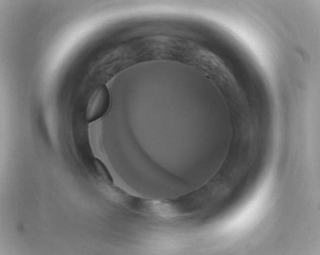 X0000115670239200911251737