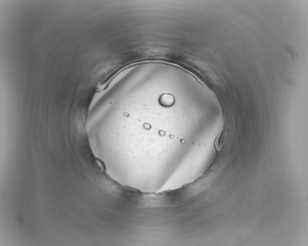 X0000115670240200911251737