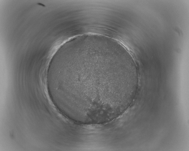 X0000115670241200911251736