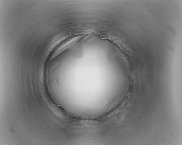 X0000115670242200911251736