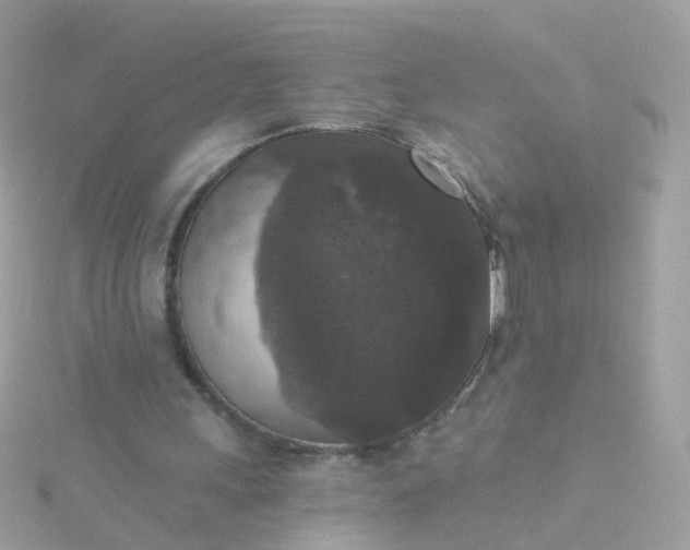 X0000115670243200911251736