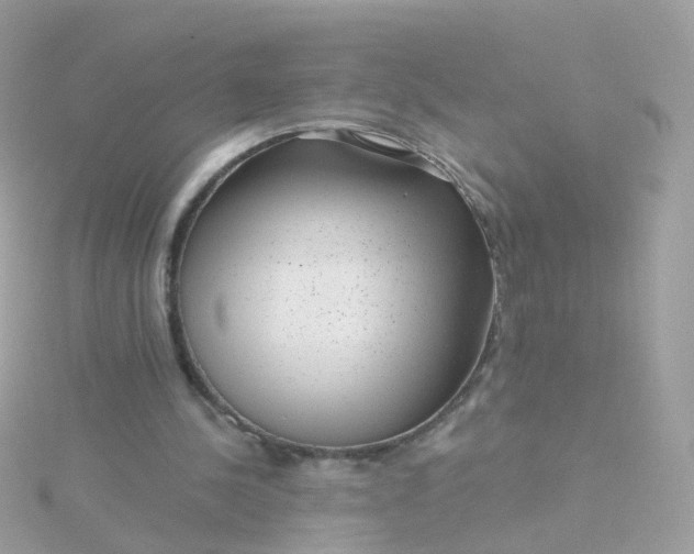 X0000115670244200911251736