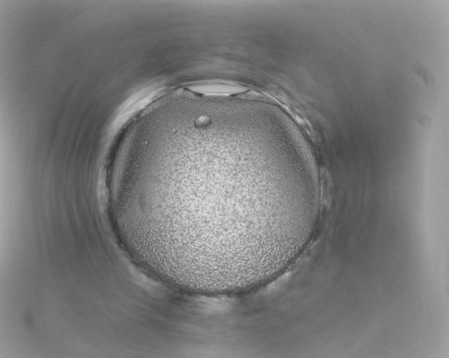 X0000115670245200911251736