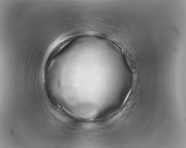 X0000115670246200911251736