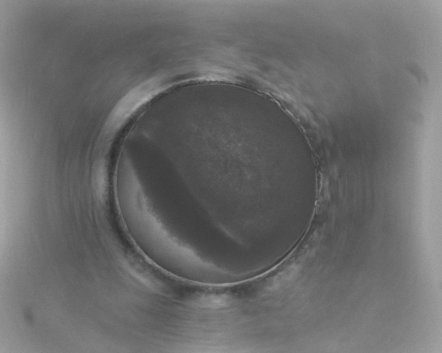 X0000115670247200911251736