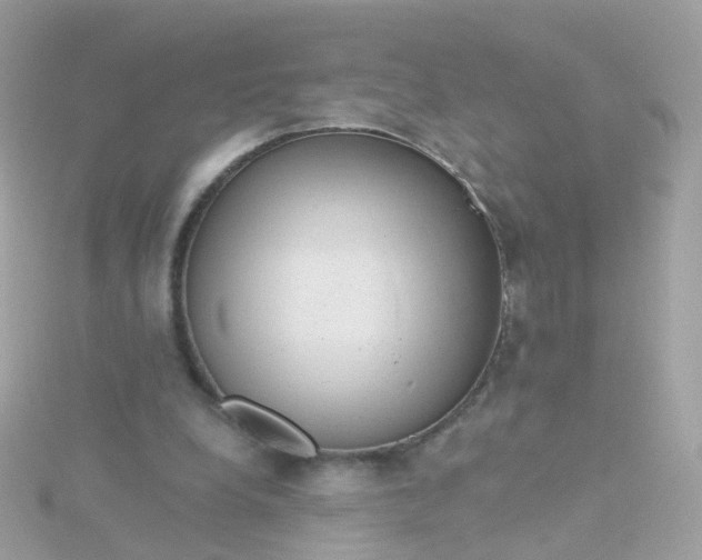 X0000115670248200911251736