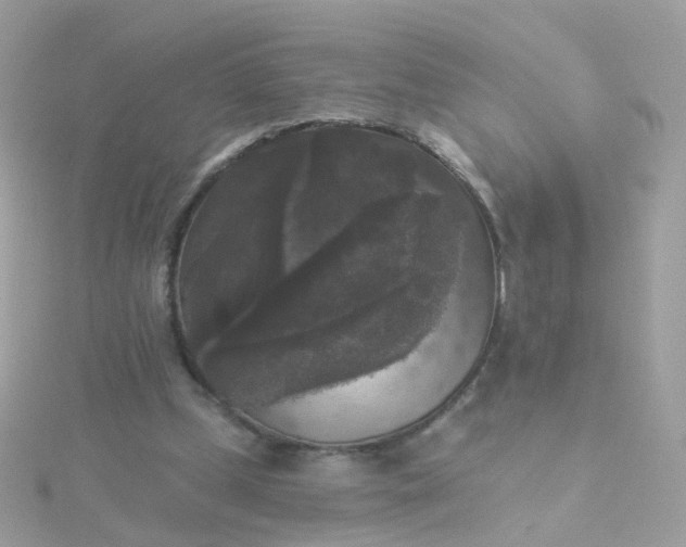 X0000115670249200911251736