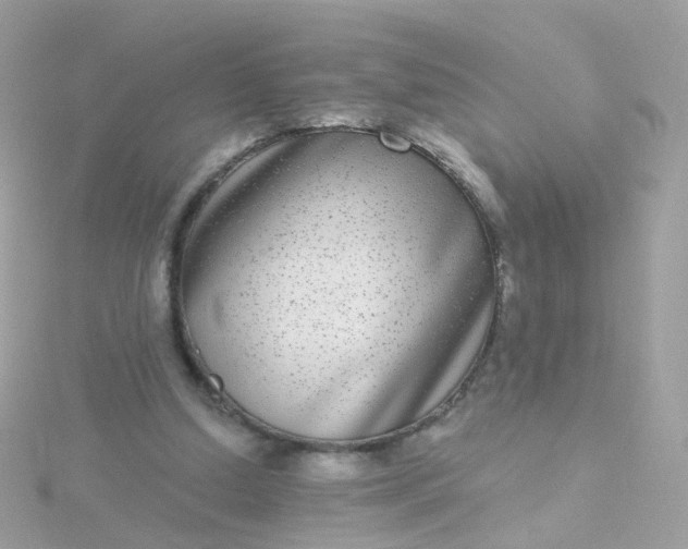 X0000115670250200911251736