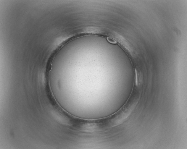 X0000115670252200911251736