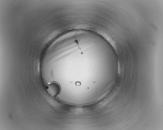 X0000115670253200911251736