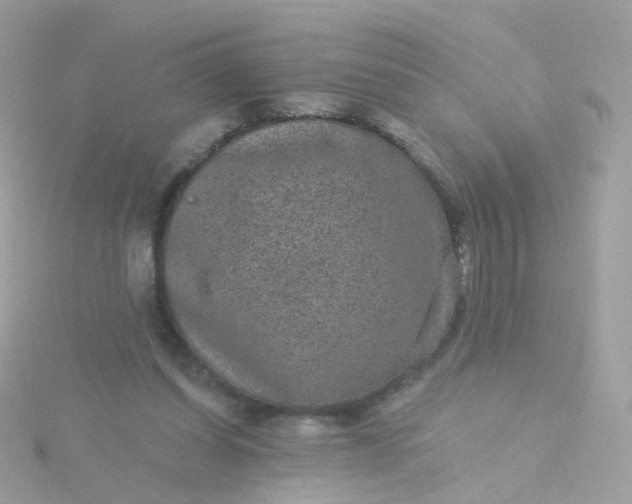 X0000115670254200911251736