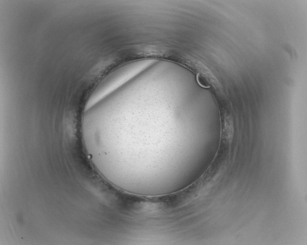 X0000115670255200911251736