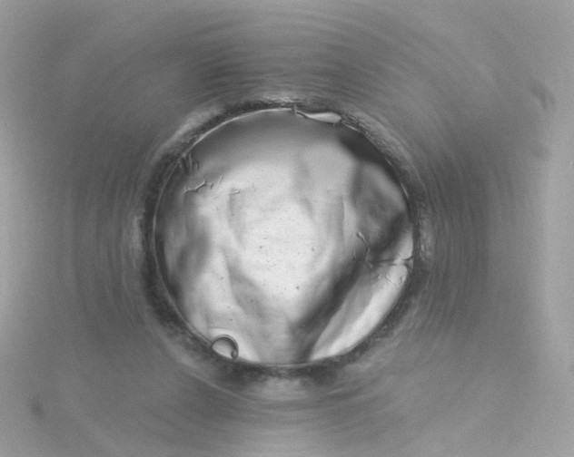 X0000115670256200911251736