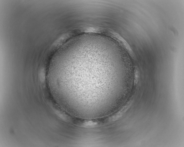 X0000115670257200911251736