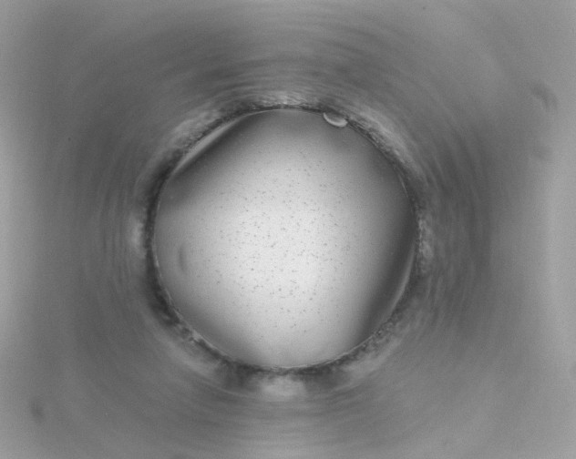 X0000115670258200911251736