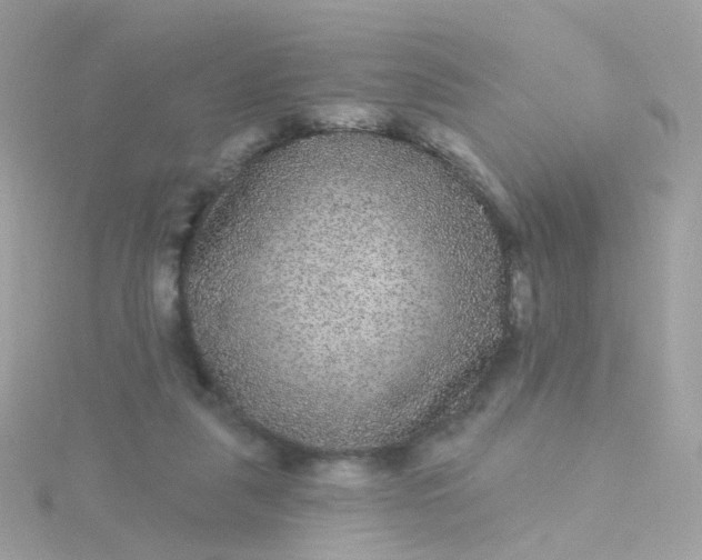 X0000115670259200911251736