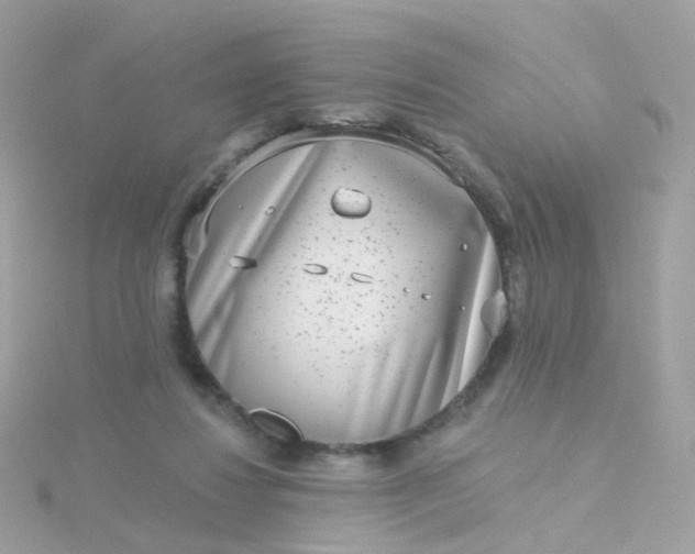 X0000115670260200911251736