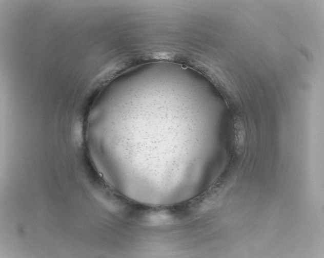 X0000115670262200911251736