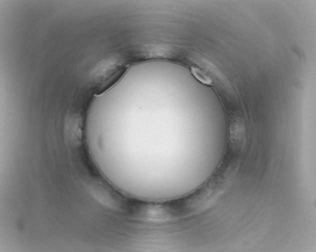 X0000115670264200911251736