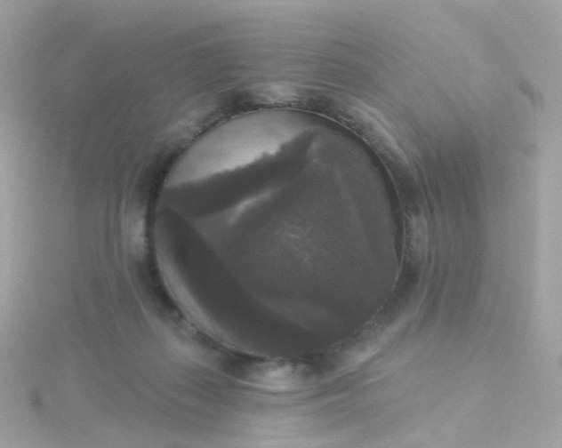 X0000115670267200911251736