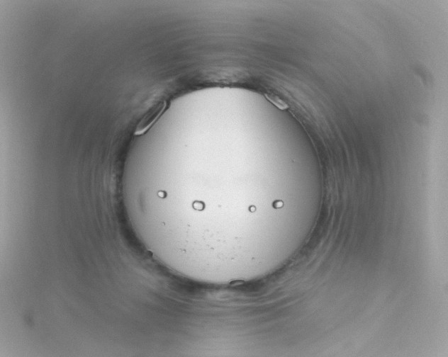 X0000115670268200911251736