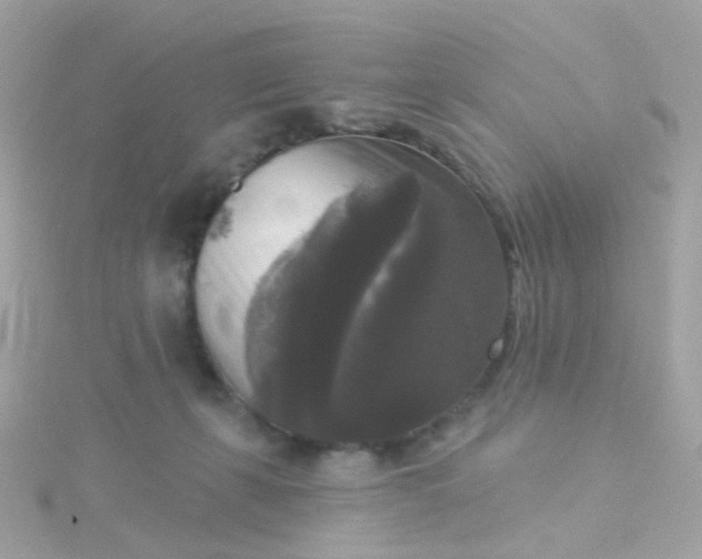 X0000115670271200911251736