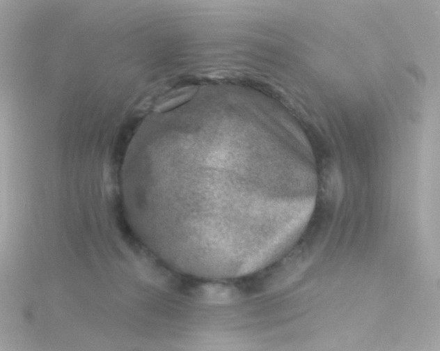 X0000115670272200911251736