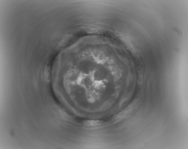 X0000115670273200911251736