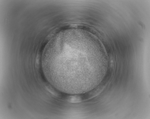 X0000115670275200911251736