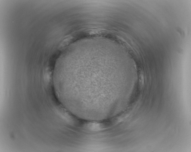 X0000115670276200911251736