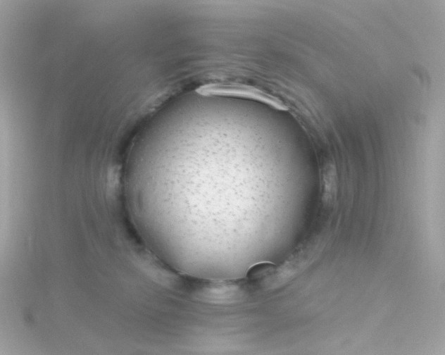 X0000115670278200911251736