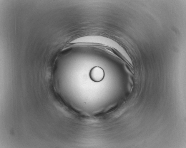 X0000115670284200911251736