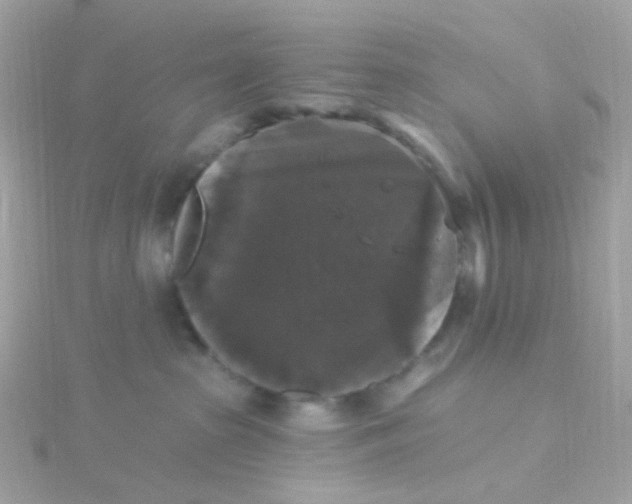 X0000115670285200911251736