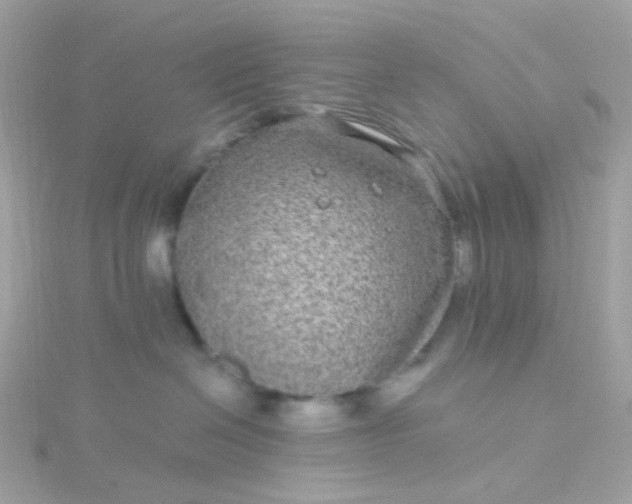 X0000115670286200911251736