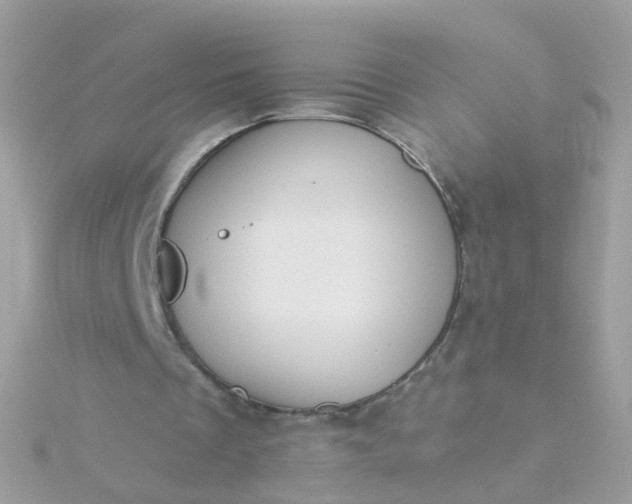 X0000115670289200911251736