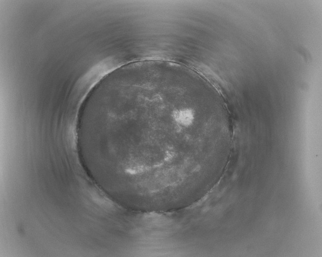 X0000115670290200911251736