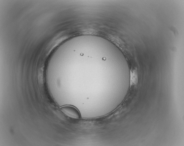 X0000115670291200911251736