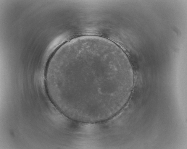 X0000115670293200911251736