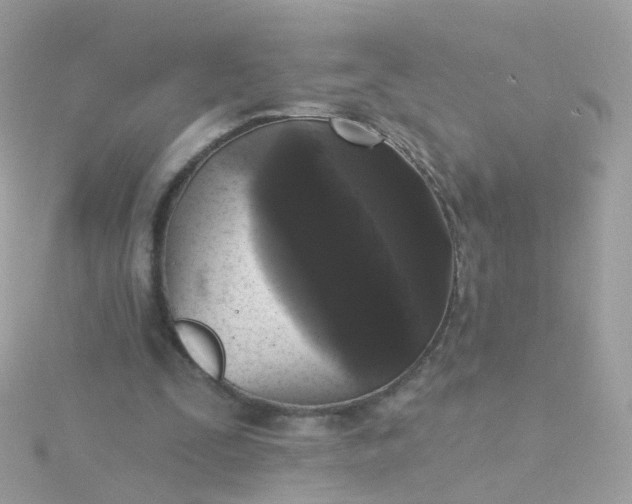 X0000115670295200911251736