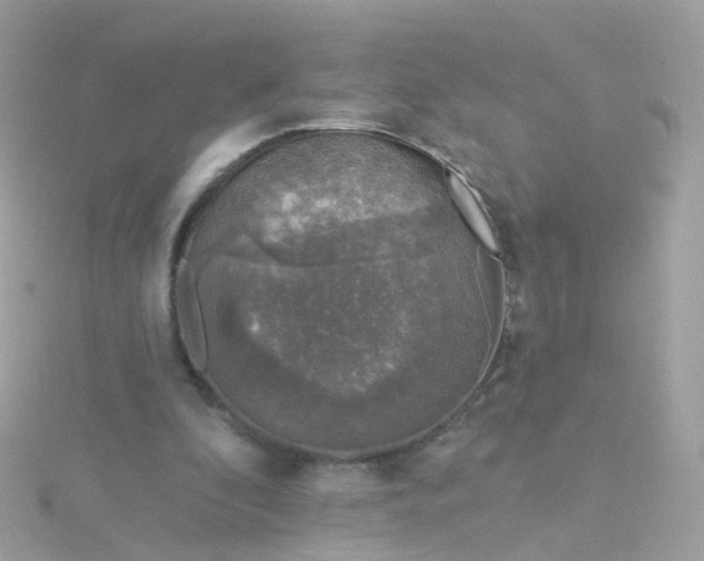 X0000115670296200911251736