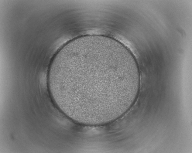 X0000115670297200911251736