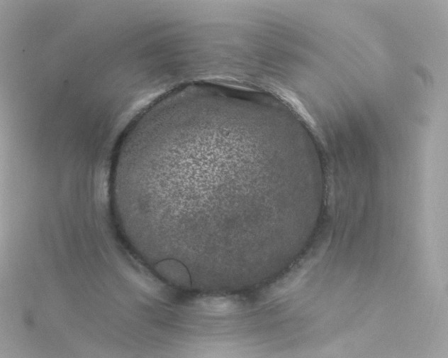 X0000115670299200911251736